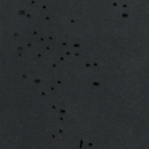 MothTech™ T‑Shirt