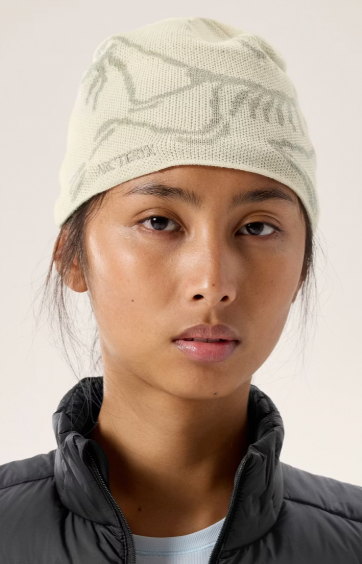 Arc'teryx Bird Head Toque — Sea Salt/Habitat