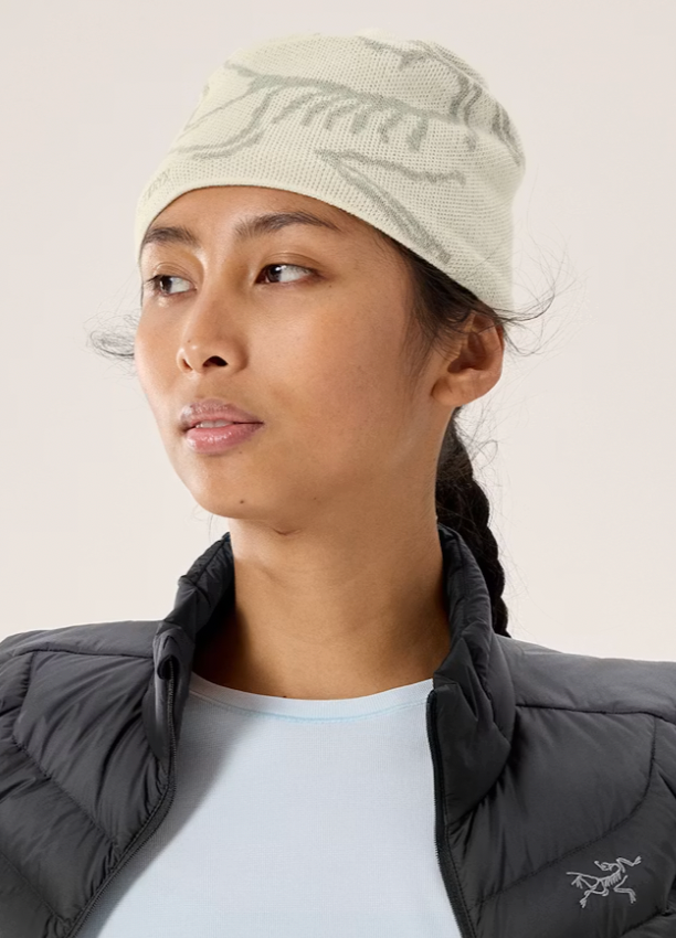 Arc'teryx Bird Head Toque — Sea Salt/Habitat