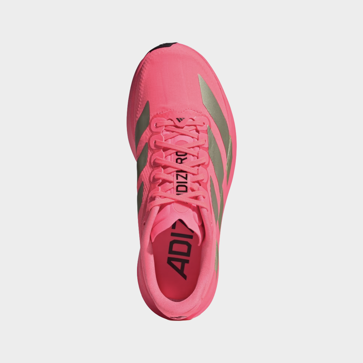Adizero EVO SL Woven — TURSOL/NOIESS/CARBON (Women)