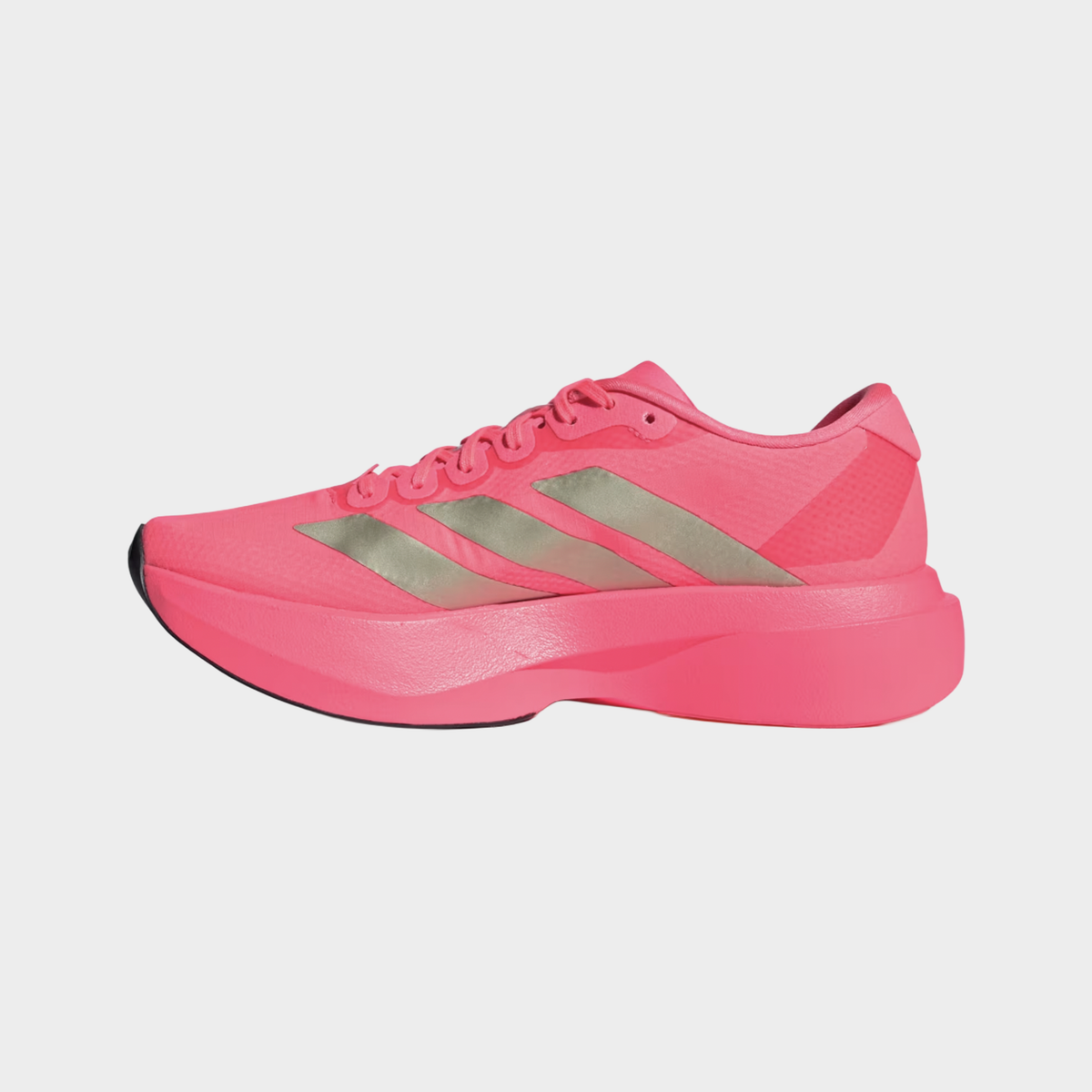 Adizero EVO SL Woven — TURSOL/NOIESS/CARBON (Women)